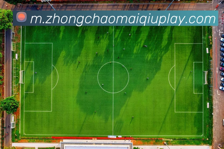 多媒体互动体验